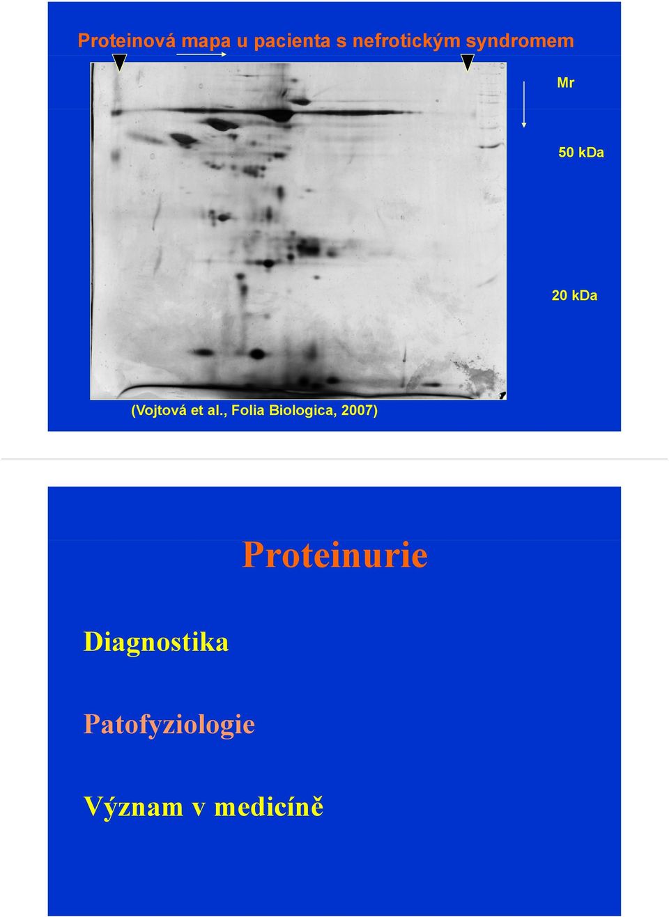 al., Folia Biologica, 2007) Proteinurie