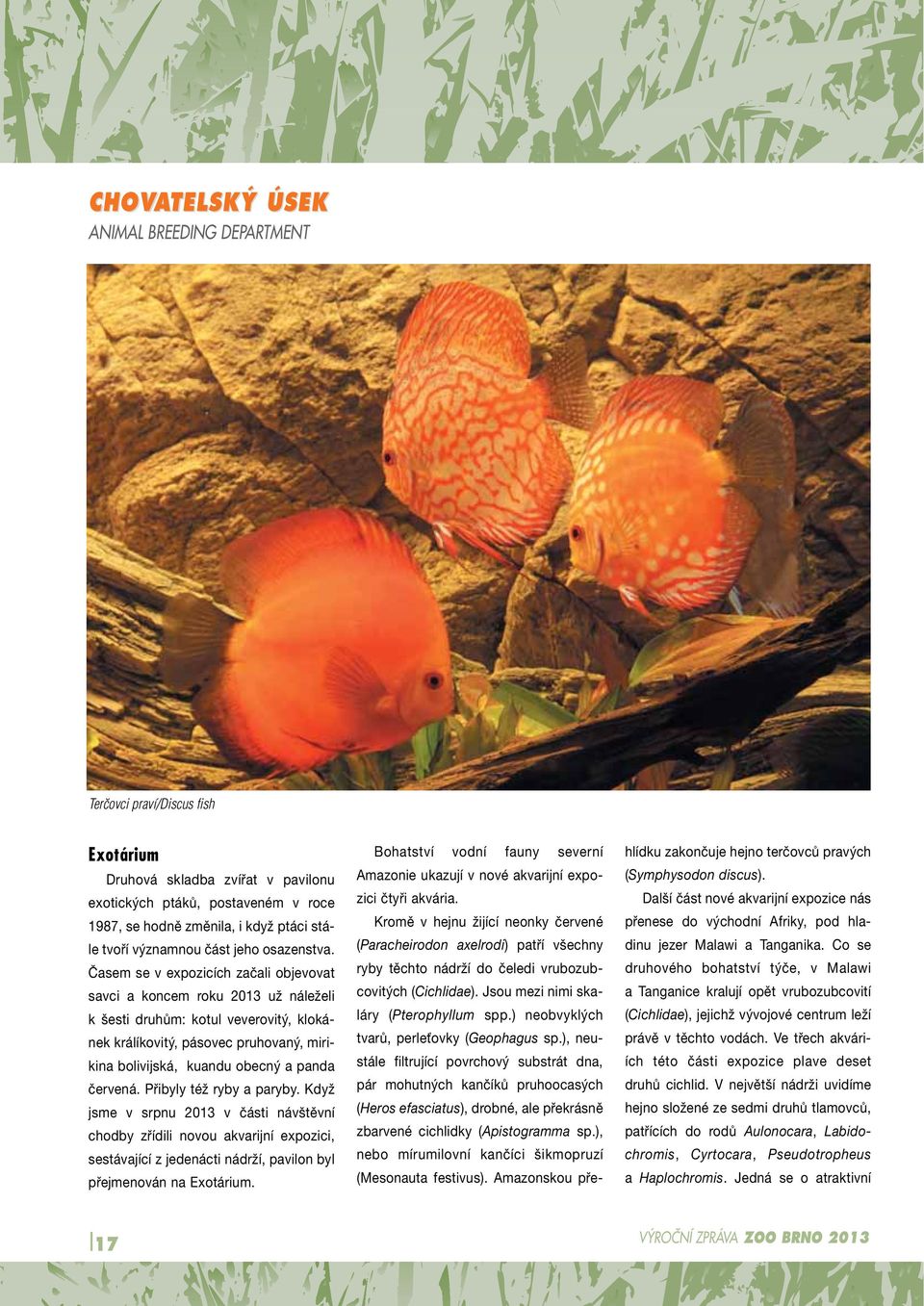 Časem se v expozicích začali objevovat savci a koncem roku 2013 už náleželi k šesti druhům: kotul veverovitý, klokánek králíkovitý, pásovec pruhovaný, mirikina bolivijská, kuandu obecný a panda