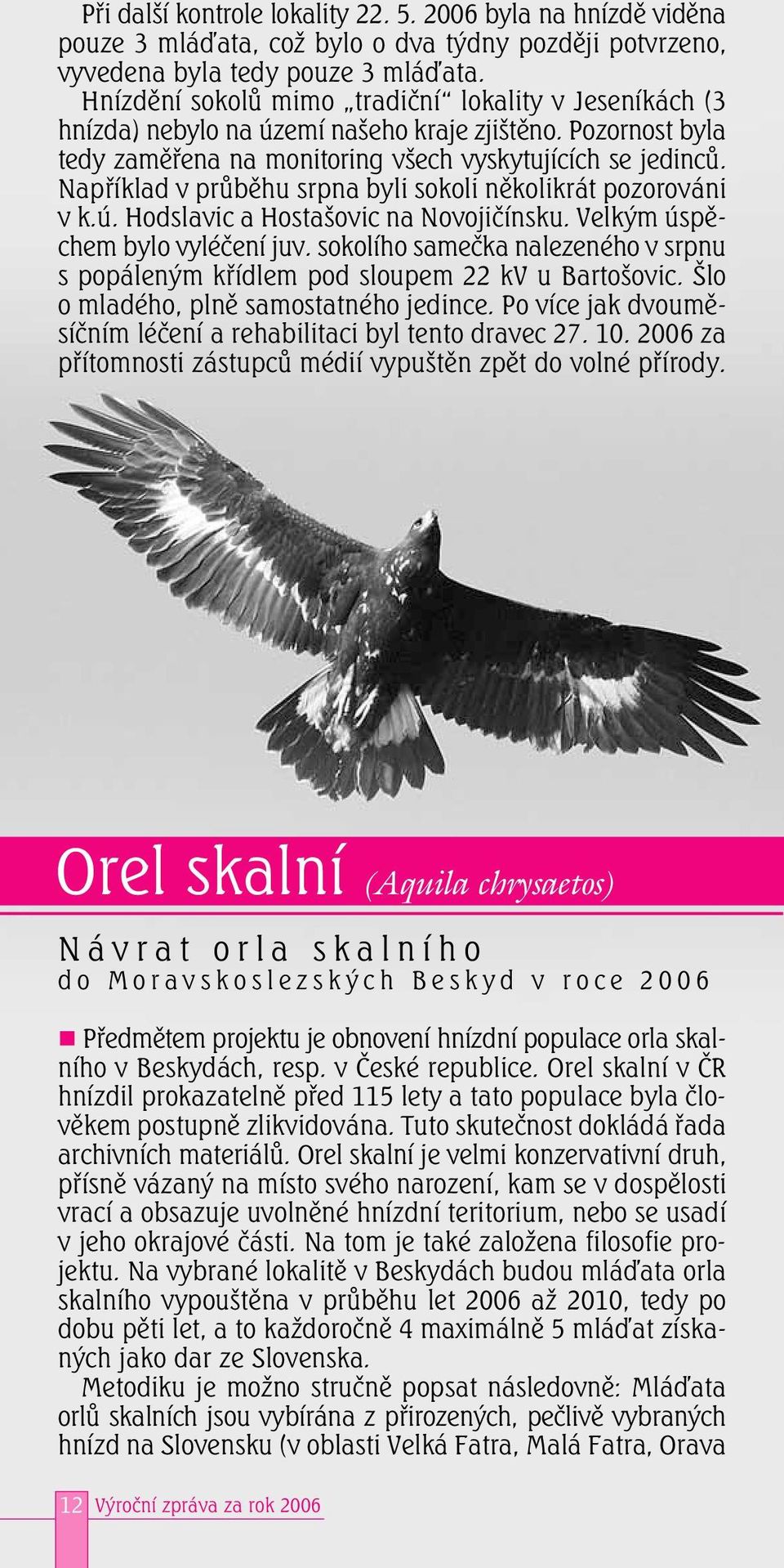 Například v průběhu srpna byli sokoli několikrát pozorováni v k.ú. Hodslavic a Hostašovic na Novojičínsku. Velkým úspěchem bylo vyléčení juv.