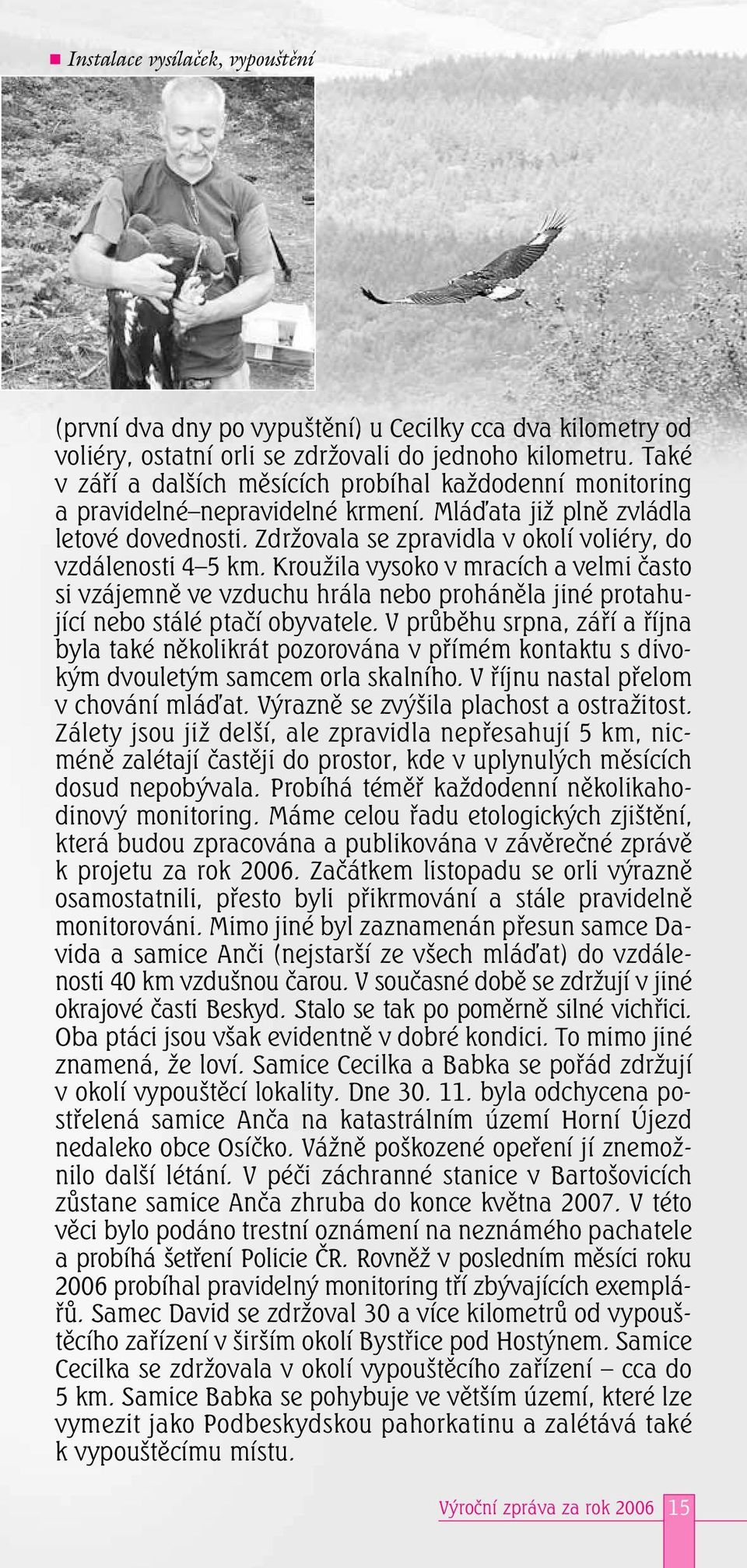 Zdržovala se zpravidla v okolí voliéry, do vzdálenosti 4 5 km. Kroužila vysoko v mracích a velmi často si vzájemně ve vzduchu hrála nebo proháněla jiné protahující nebo stálé ptačí obyvatele.