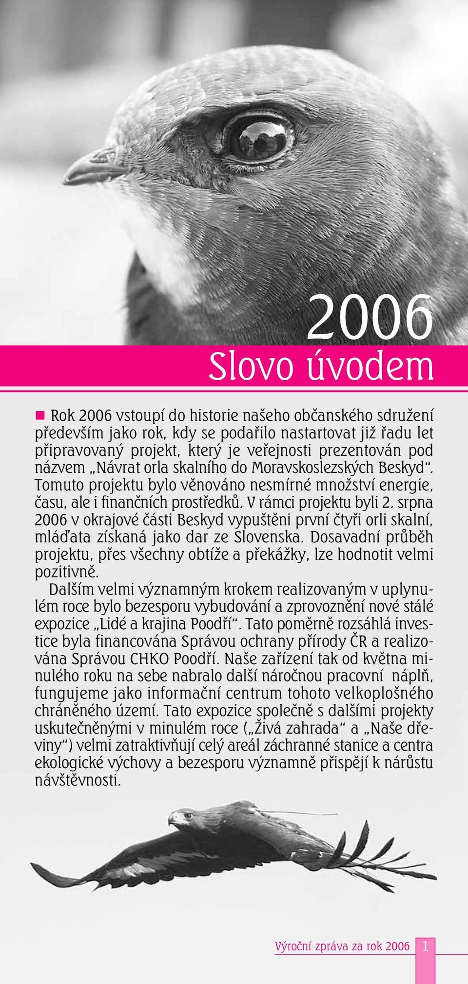 srpna 2006 v okrajové části Beskyd vypuštěni první čtyři orli skalní, mlá ata získaná jako dar ze Slovenska. Dosavadní průběh projektu, přes všechny obtíže a překážky, lze hodnotit velmi pozitivně.