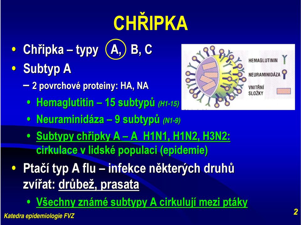 H1N2, H3N2: cirkulace v lidské populaci (epidemie) Ptačí typ A flu infekce