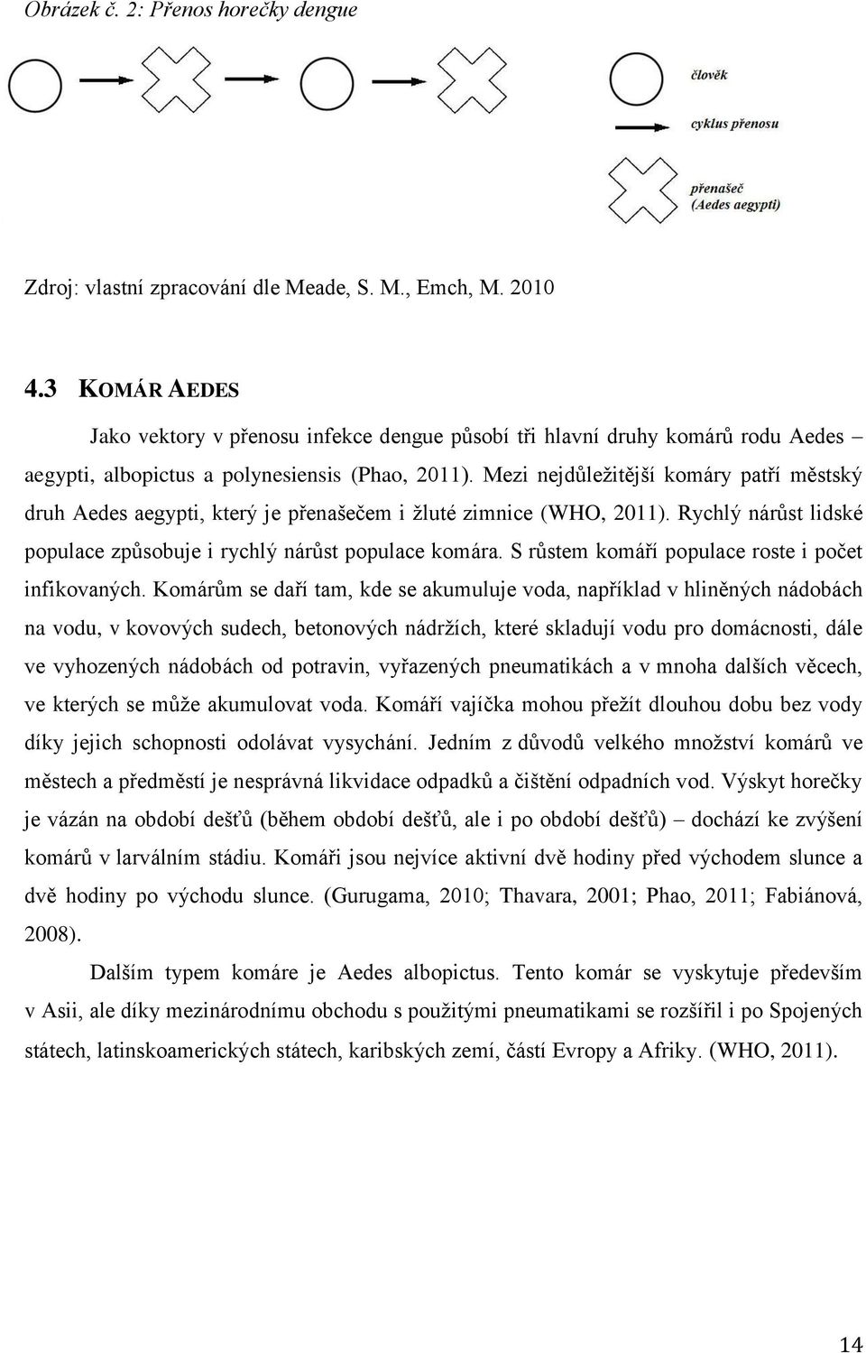 Mezi nejdůleţitější komáry patří městský druh Aedes aegypti, který je přenašečem i ţluté zimnice (WHO, 2011). Rychlý nárůst lidské populace způsobuje i rychlý nárůst populace komára.