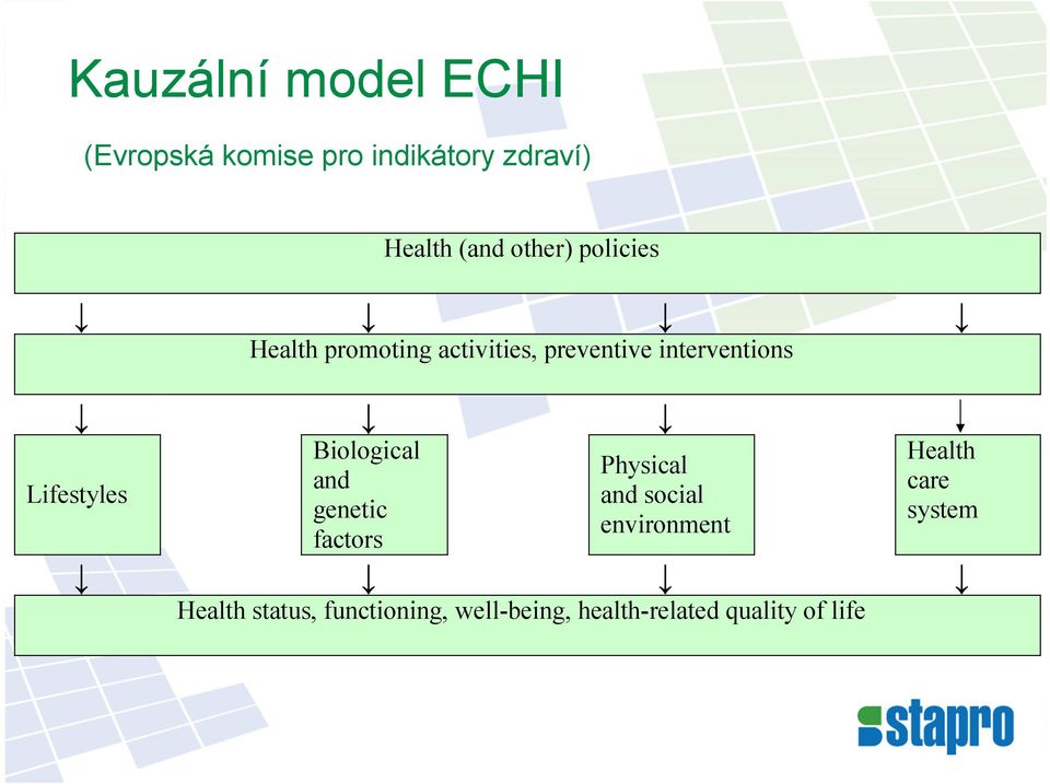 Lifestyles Biological and genetic factors Physical and social environment