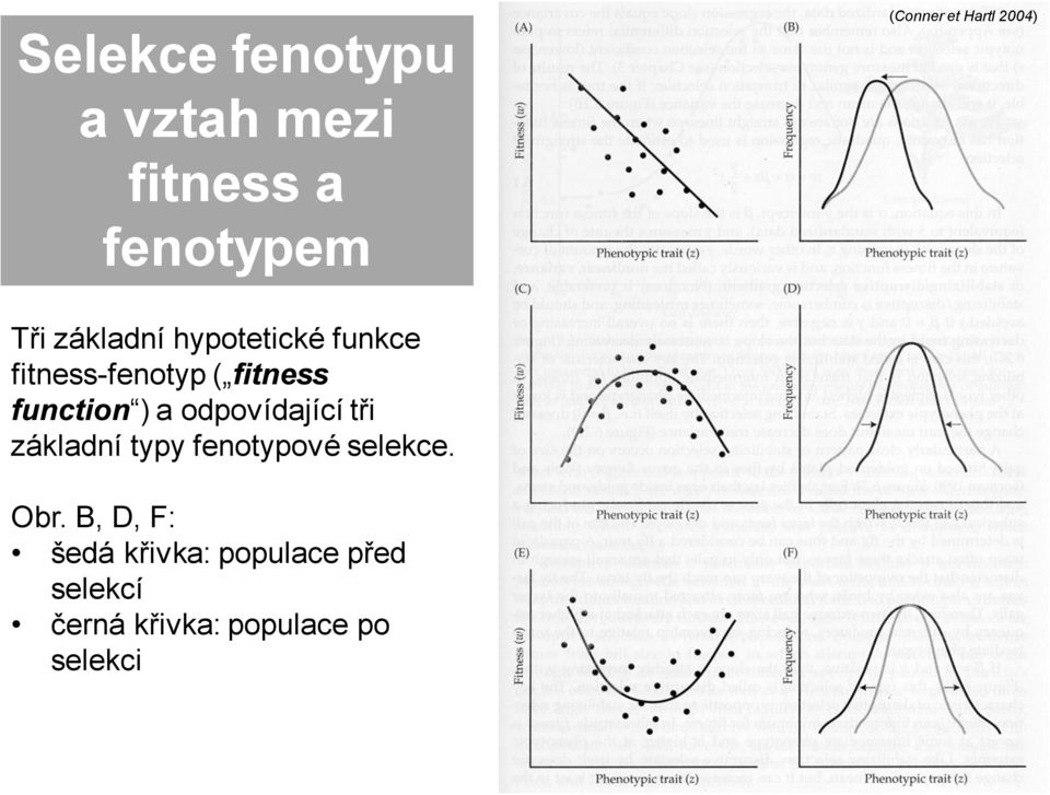 function ) a odpovídající tři základní typy fenotypové selekce. Obr.