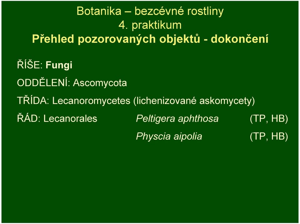 Fungi ODDĚLENÍ: Ascomycota TŘÍDA: Lecanoromycetes