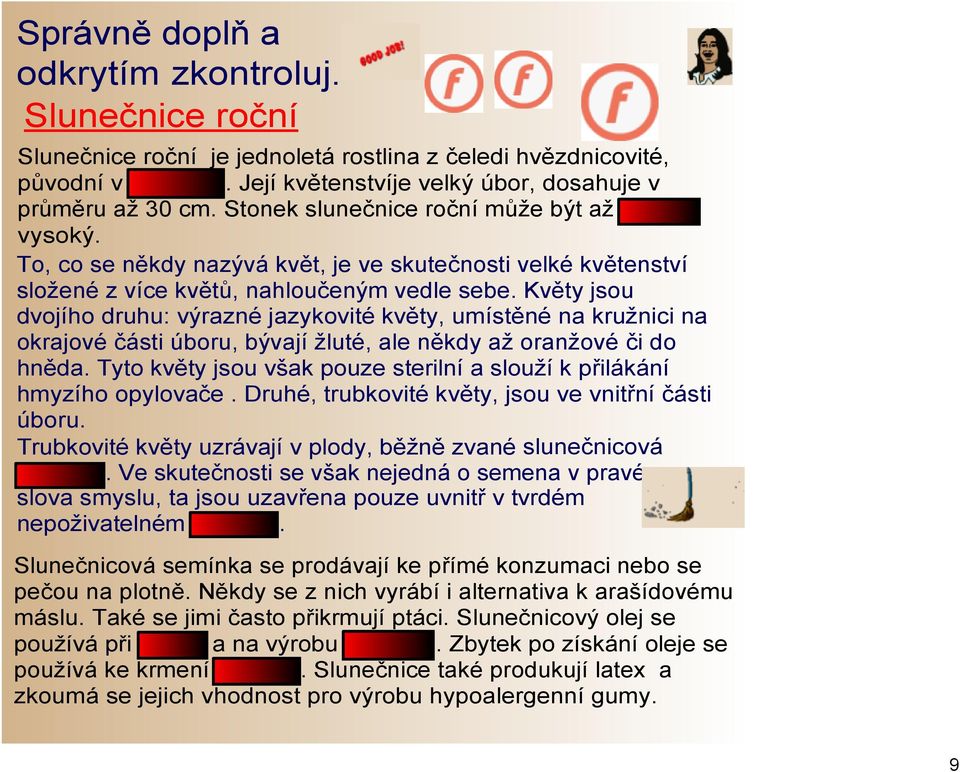 Květy jsou dvojího druhu: výrazné jazykovité květy, umístěné na kružnici na okrajové části úboru, bývají žluté, ale někdy až oranžové či do hněda.