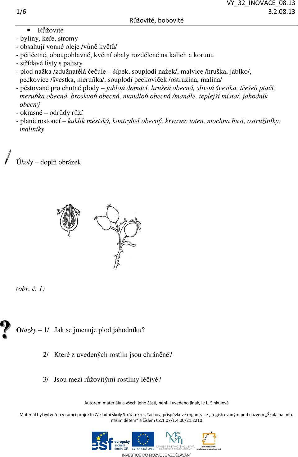 čečule šípek, souplodí nažek/, malvice /hruška, jablko/, peckovice /švestka, meruňka/, souplodí peckoviček /ostružina, malina/ - pěstované pro chutné plody jabloň domácí, hrušeň obecná, slivoň