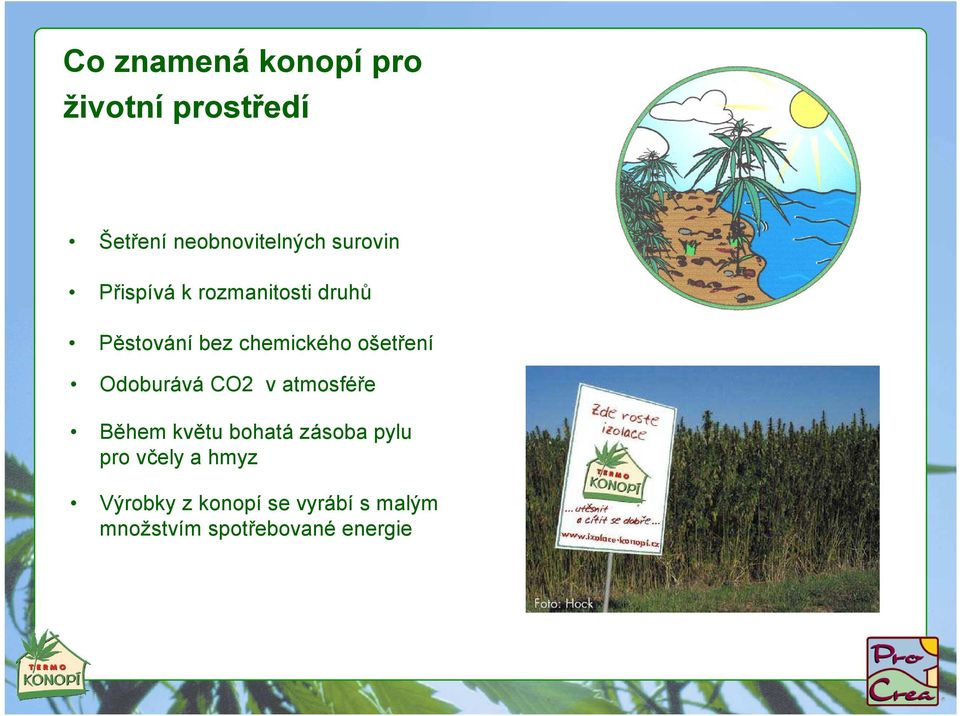 ošetření Odoburává CO2 v atmosféře Během květu bohatá zásoba pylu