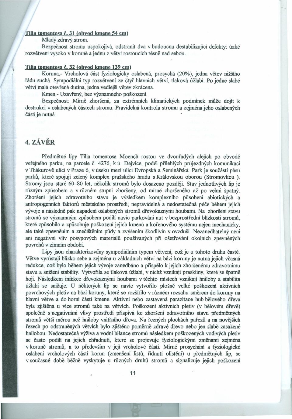 32 (obvod kmene 139 cm) Koruna. - Vrcholová část fyziologicky oslabená, prosychá (20%), jedna větev nižšího řádu suchá. Sympodiální typ rozvětvení ze čtyř hlavních větví, tlaková úžlabí.