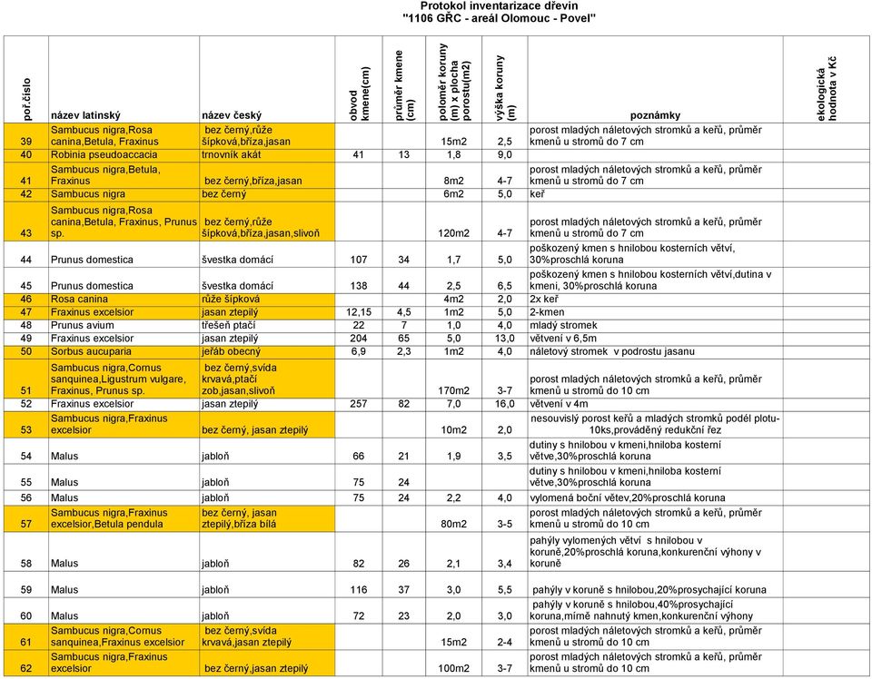 šípková,bříza,jasan,slivoň 120m2 4-7 kmenů u stromů do 7 cm poškozený kmen s hnilobou kosterních větví, 44 Prunus domestica švestka domácí 107 34 1,7 5,0 30%proschlá koruna poškozený kmen s hnilobou