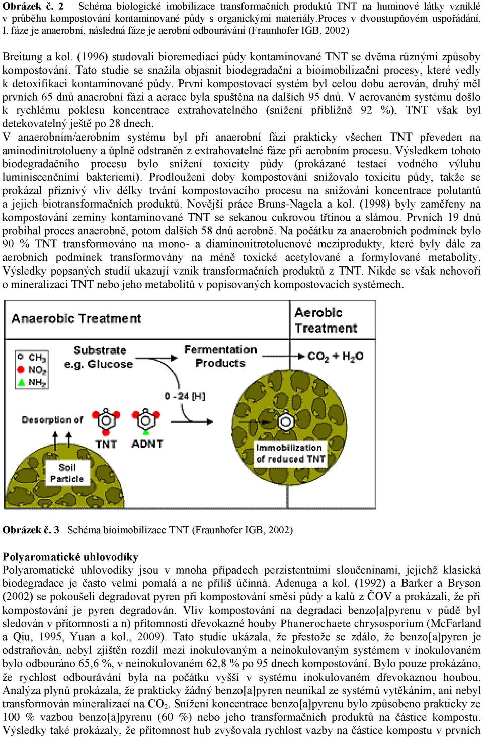 (1996) studovali bioremediaci půdy kontaminované TNT se dvěma různými způsoby kompostování.