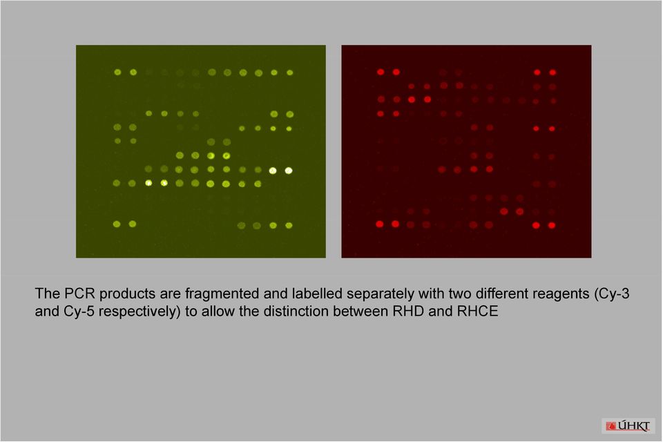 reagents (Cy-3 and Cy-5 respectively)