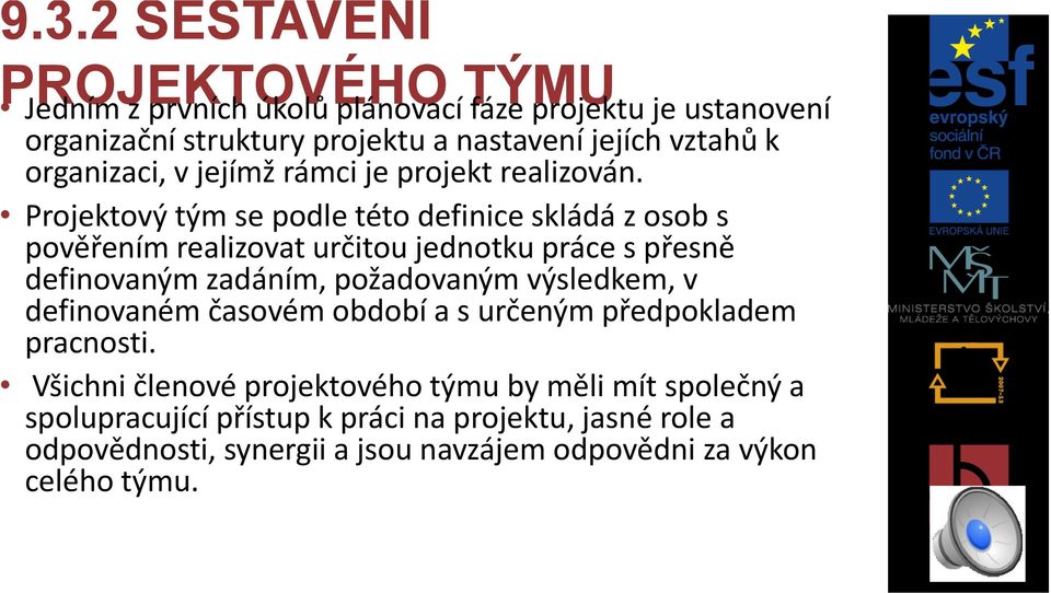 Projektový tým se podle této definice skládá z osob s pověřením realizovat určitou jednotku práce s přesně definovaným zadáním, požadovaným výsledkem,