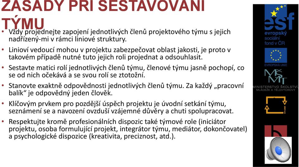 Sestavte matici rolí jednotlivých členů týmu, členové týmu jasně pochopí, co se od nich očekává a se svou rolí se ztotožní. Stanovte exaktně odpovědnosti jednotlivých členů týmu.