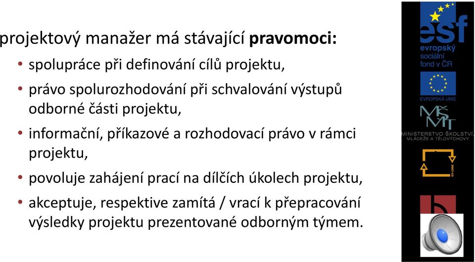 rozhodovací právo v rámci projektu, povoluje zahájení prací na dílčích úkolech projektu,