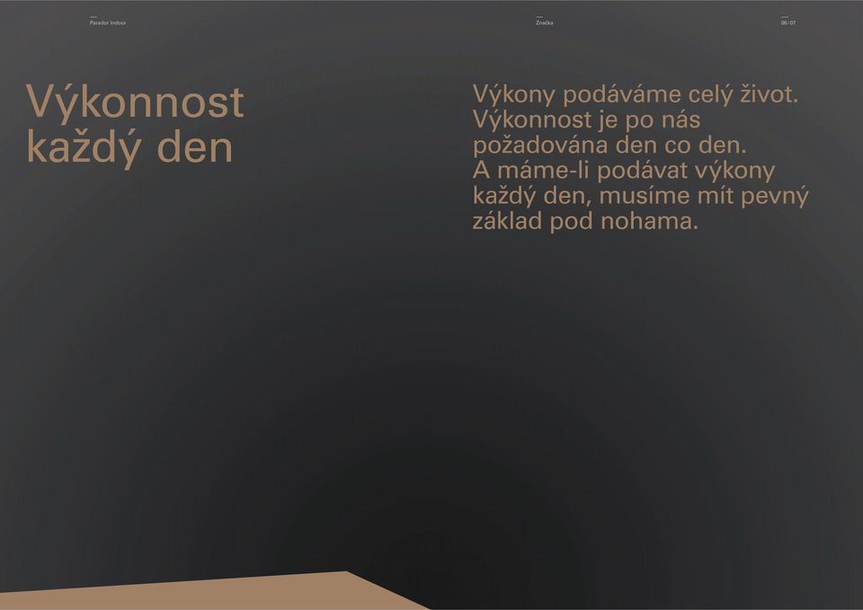 Výkonnost je po nás požadována den co den.
