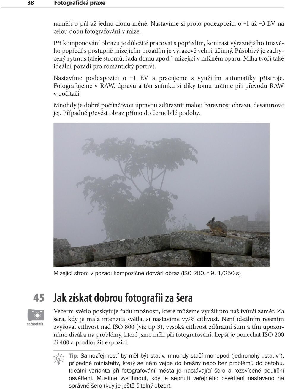 Působivý je zachycený rytmus (aleje stromů, řada domů apod.) mizející v mlžném oparu. Mlha tvoří také ideální pozadí pro romantický portrét.