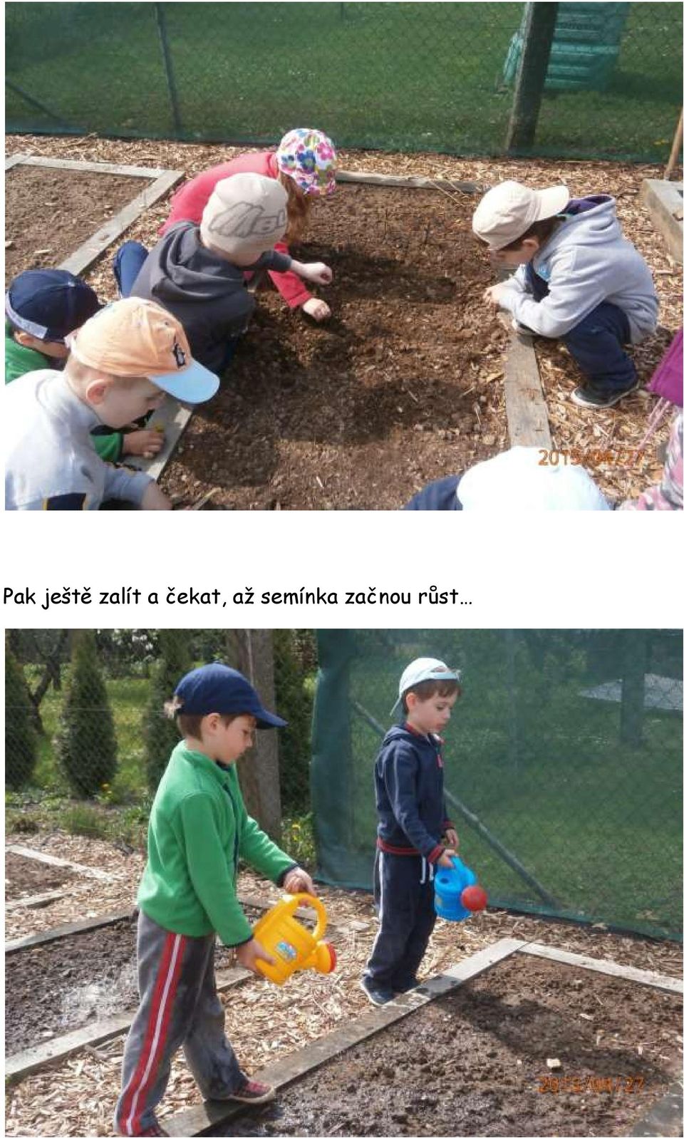 čekat, až