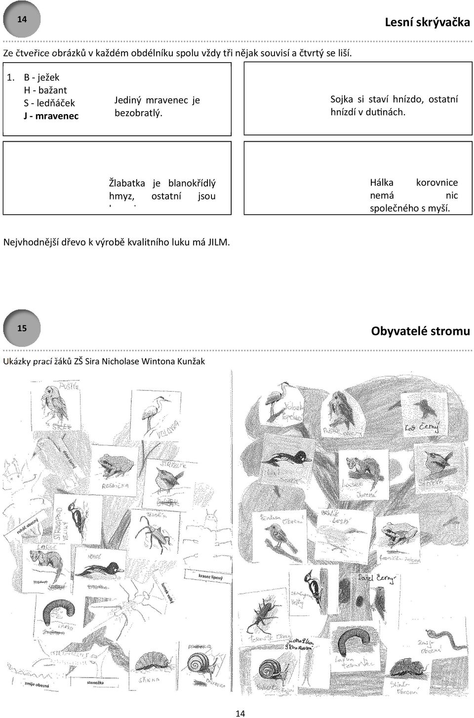 Sojka si staví hnízdo, ostatní hnízdí v du&nách. Žlabatka je blanokřídlý hmyz, ostatní jsou brouci.