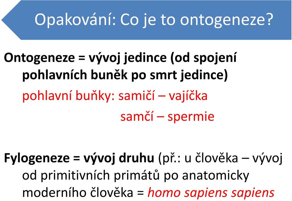 jedince) pohlavní buňky: samičí vajíčka samčí spermie Fylogeneze =