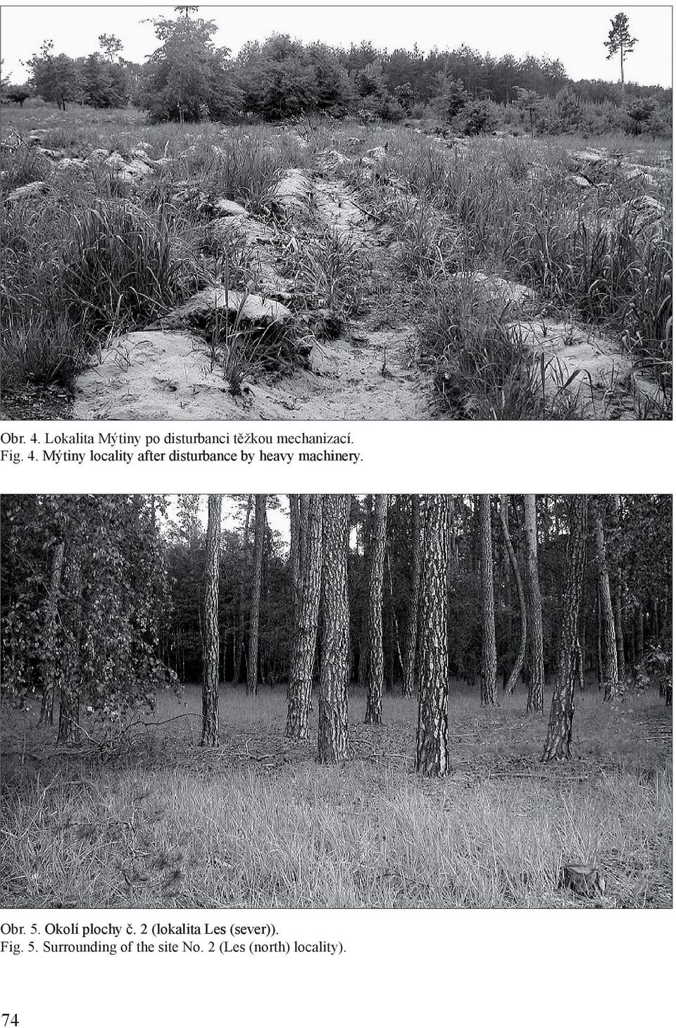 5. Surrounding of the site No. 2 (Les (north) locality). 74