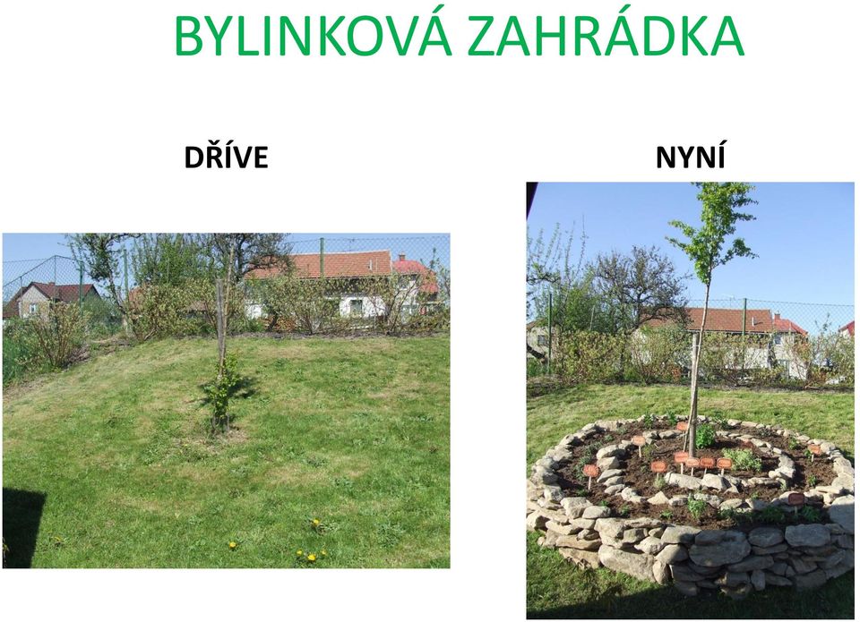 DŘÍVE