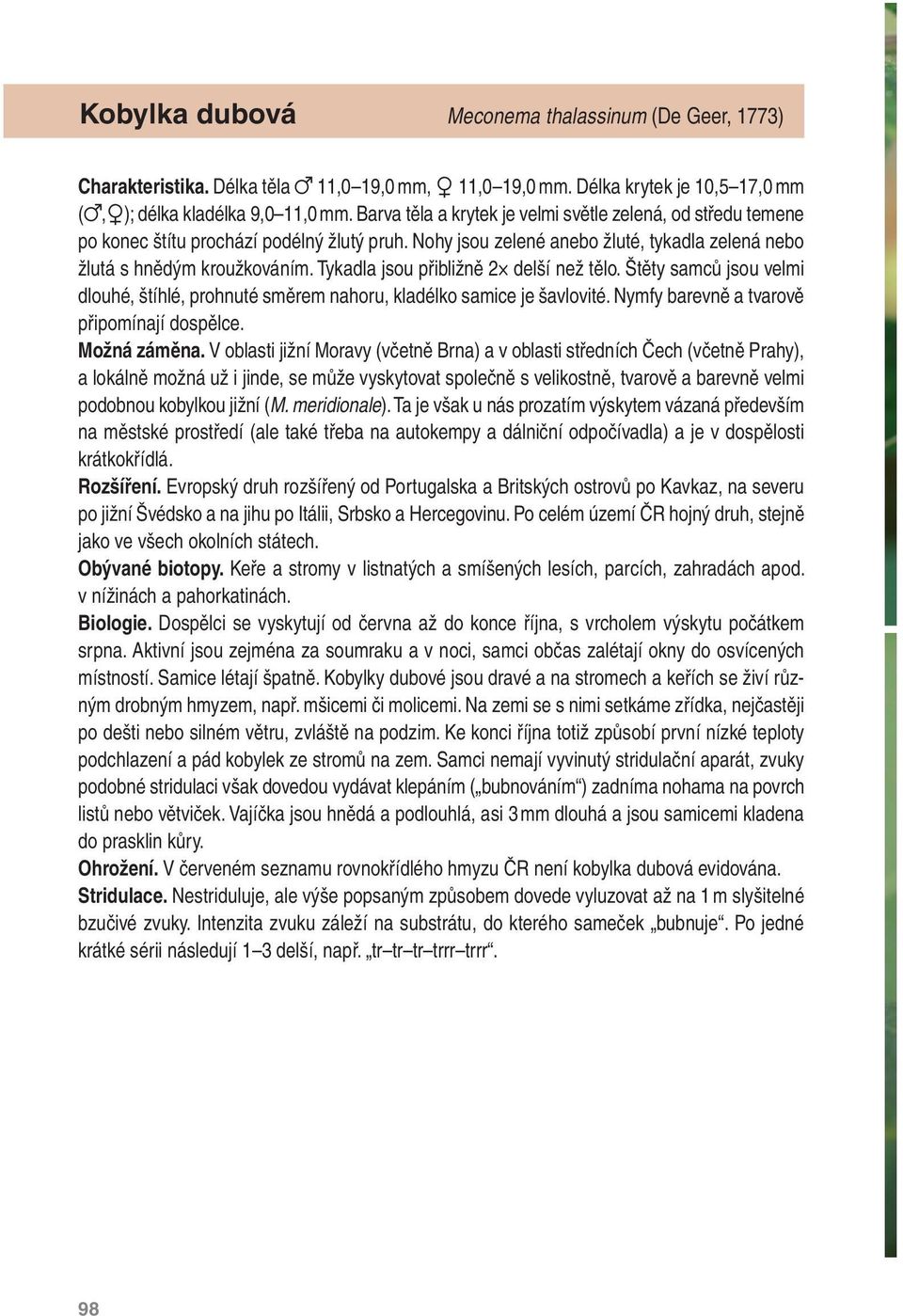 Tykadla jsou přibližně 2 delší než tělo. Štěty samců jsou velmi dlouhé, štíhlé, prohnuté směrem nahoru, kladélko samice je šavlovité. Nymfy barevně a tvarově připomínají dospělce. Možná záměna.