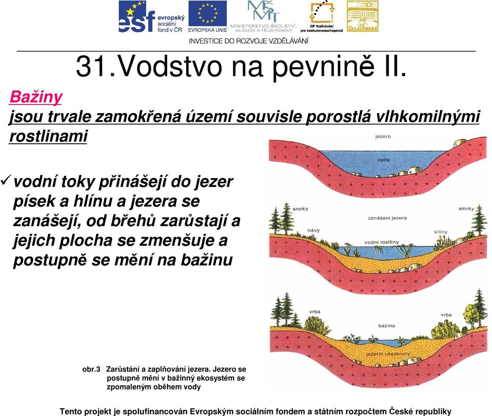 přinášejí do jezer písek a hlínu a jezera se zanášejí, od břehů zarůstají a jejich