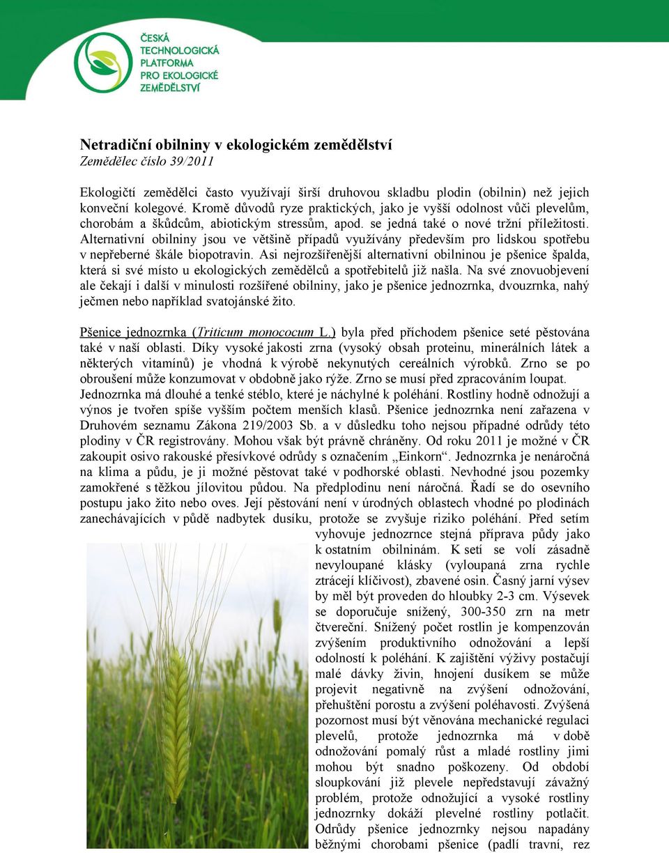 Alternativní obilniny jsou ve většině případů využívány především pro lidskou spotřebu v nepřeberné škále biopotravin.