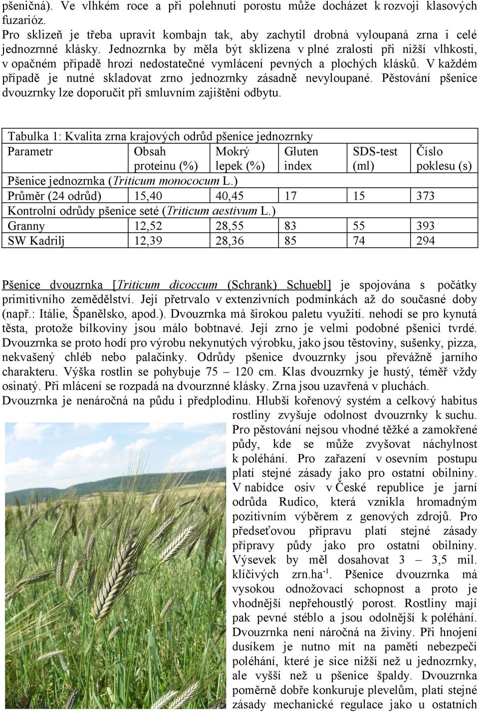 V každém případě je nutné skladovat zrno jednozrnky zásadně nevyloupané. Pěstování pšenice dvouzrnky lze doporučit při smluvním zajištění odbytu.