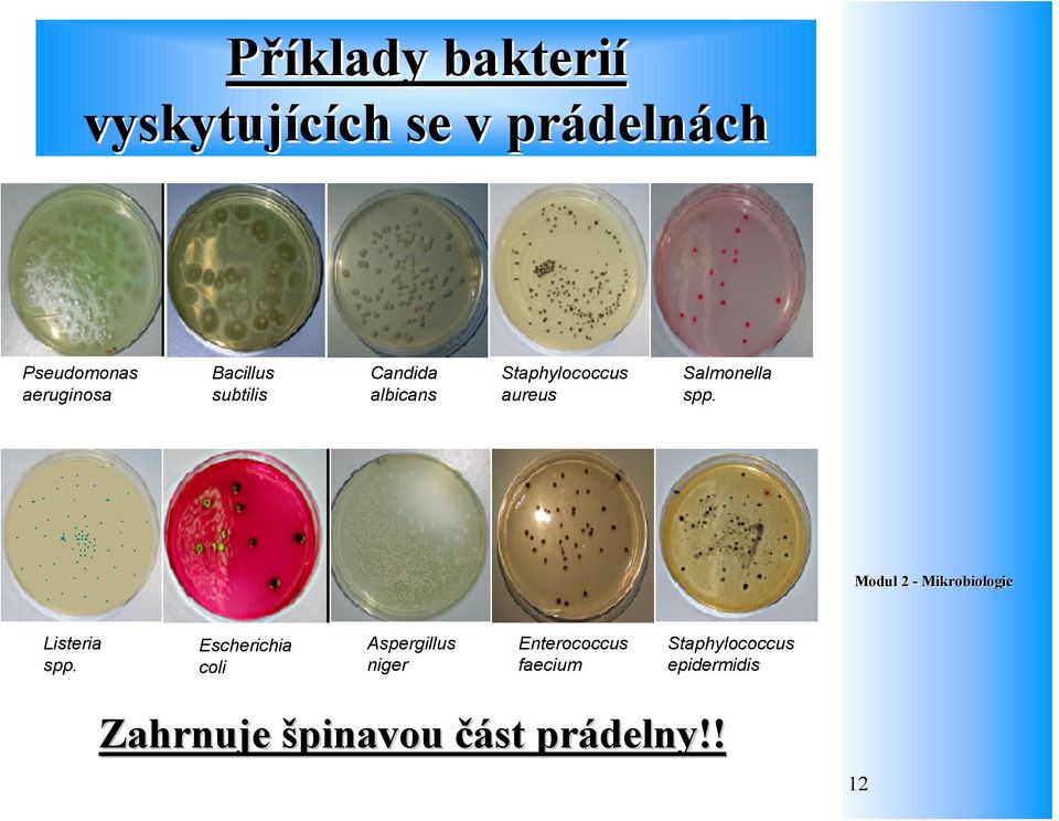 Salmonella spp. Listeria spp.