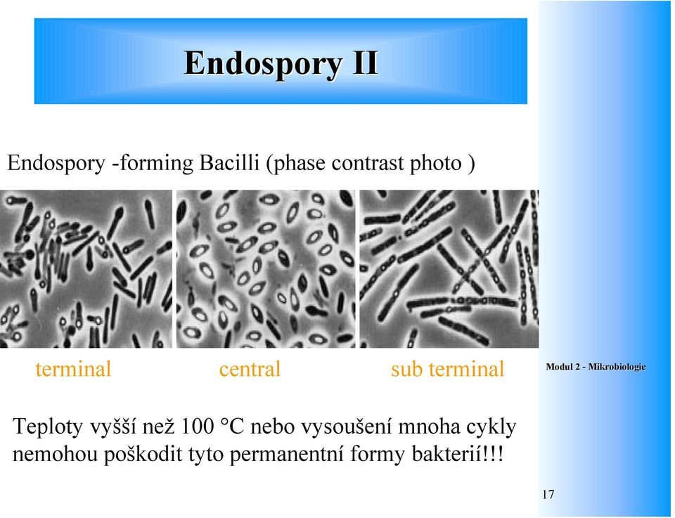 Teploty vyšší než 100 C nebo vysoušení mnoha