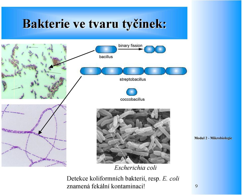 koliformních bakterií, resp.