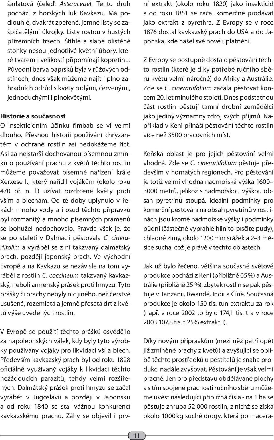 Původní barva paprsků byla v růžových odstínech, dnes však můžeme najít i plno zahradních odrůd s květy rudými, červenými, jednoduchými i plnokvětými.