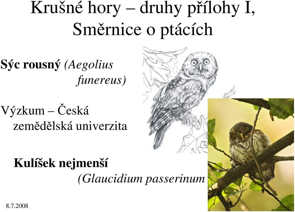 zemědělská univerzita Směrnice o ptácích