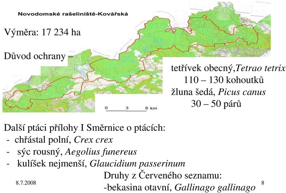 chřástal polní, Crex crex - sýc rousný, Aegolius funereus - kulíšek nejmenší,