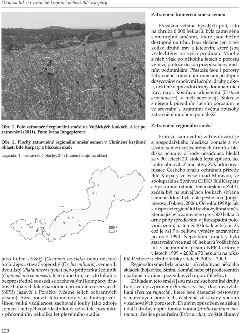 některé orchideje: vstavač vojenský (Orchis militaris), vemeník dvoulistý (Platanthera bifolia) nebo pětiprstka žežulník (Gymnadenia conopsea).