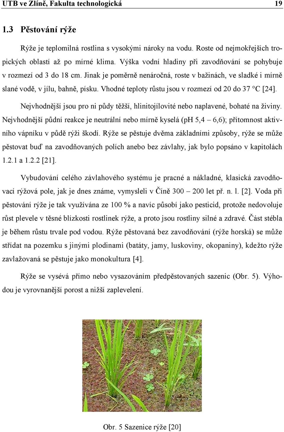 Vhodné teploty růstu jsou v rozmezí od 20 do 37 C [24]. Nejvhodnější jsou pro ni půdy těžší, hlinitojílovité nebo naplavené, bohaté na živiny.