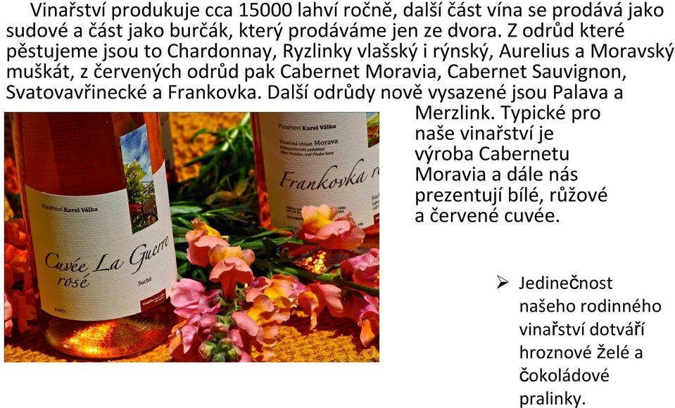 CabernetSauvignon, Svatovavřineckéa Frankovka. Dalšíodrůdy nověvysazenéjsou Palavaa Merzlink.