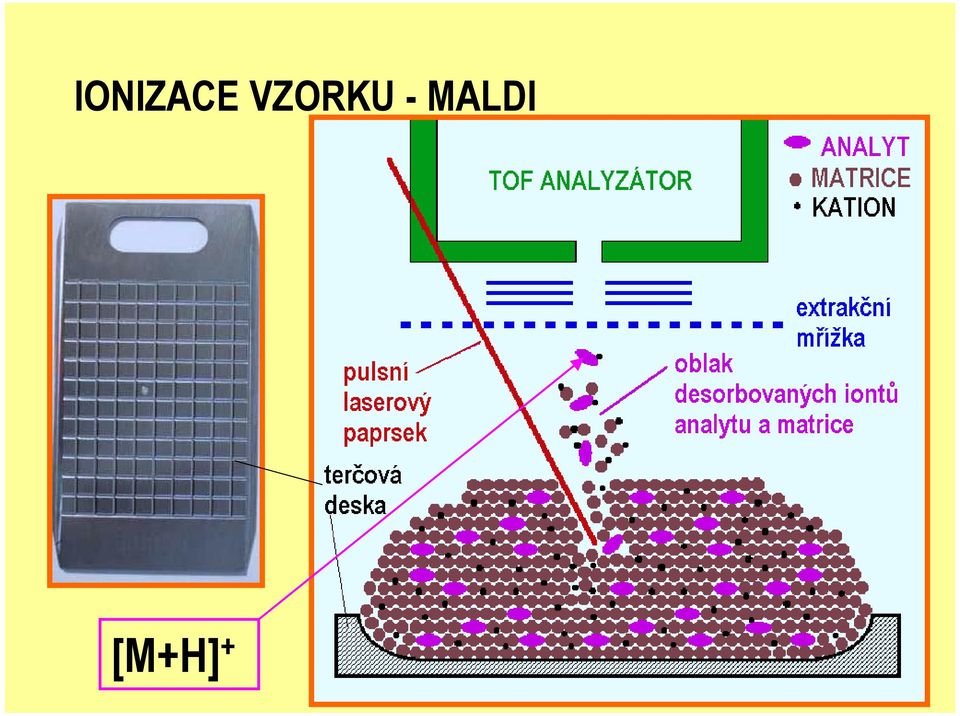 MALDI