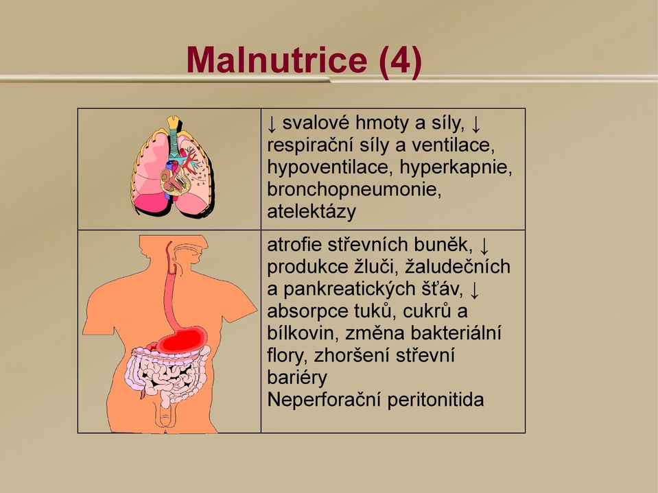 buněk, produkce žluči, žaludečních a pankreatických šťáv, absorpce tuků,