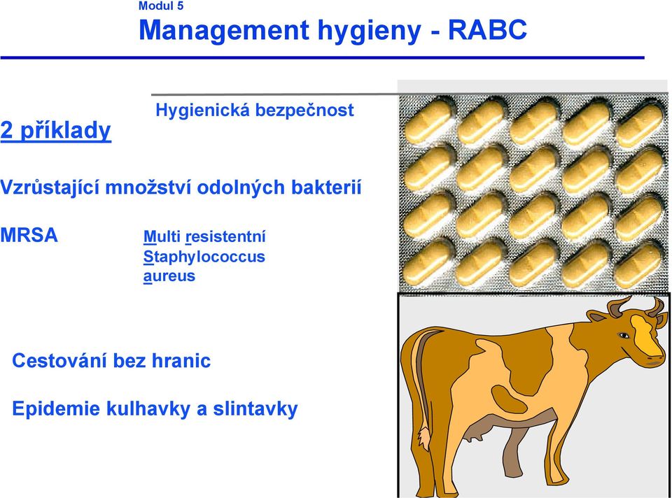 RSA Multi resistentní Staphylococcus