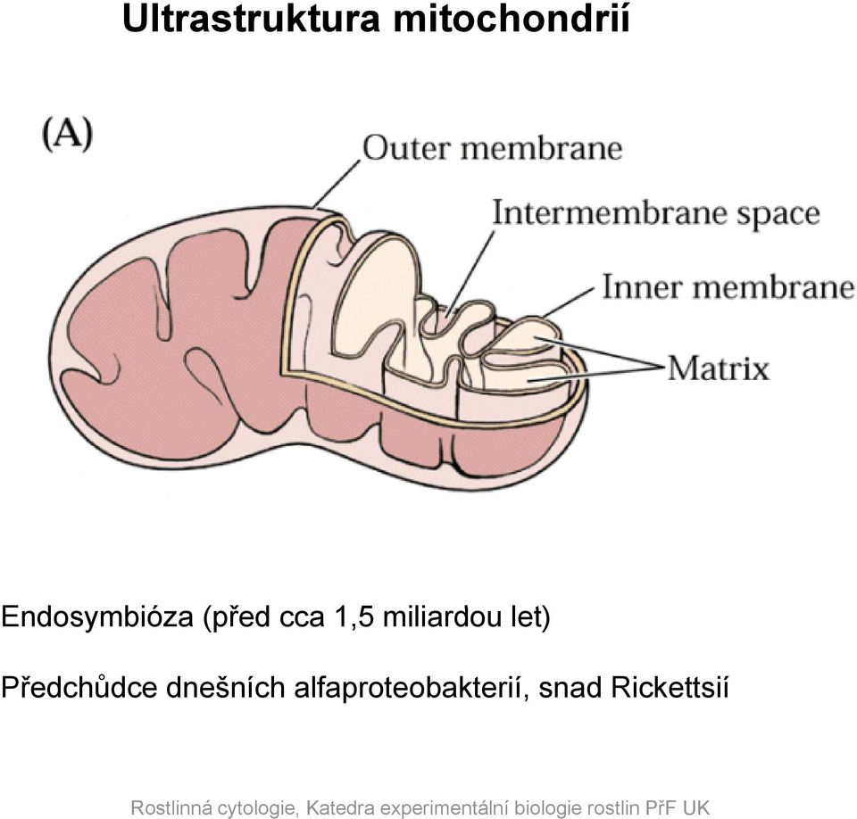 miliardou let) Předchůdce