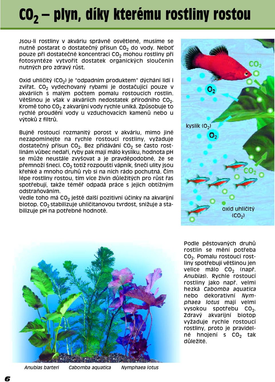 Oxid uhliëit (CO 2 ) je odpadním produktem d chání lidí i zví at. CO 2 vydechovan rybami je dostaëující pouze v akváriích s mal m poëtem pomalu rostoucích rostlin.