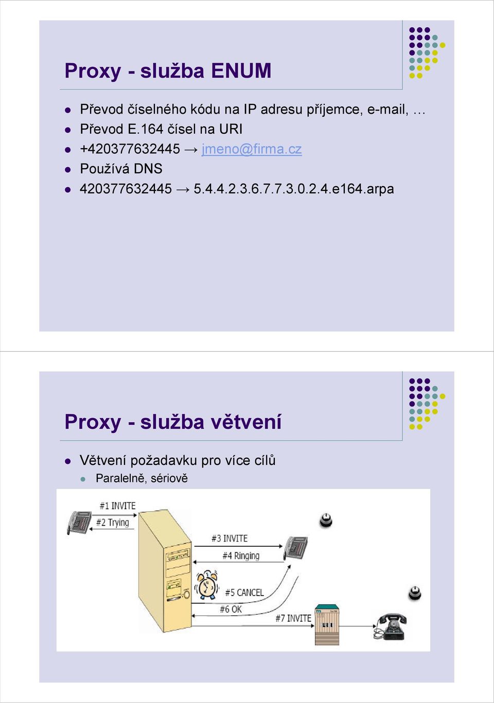 cz Používá DNS 420377632445 5.4.4.2.3.6.7.7.3.0.2.4.e164.