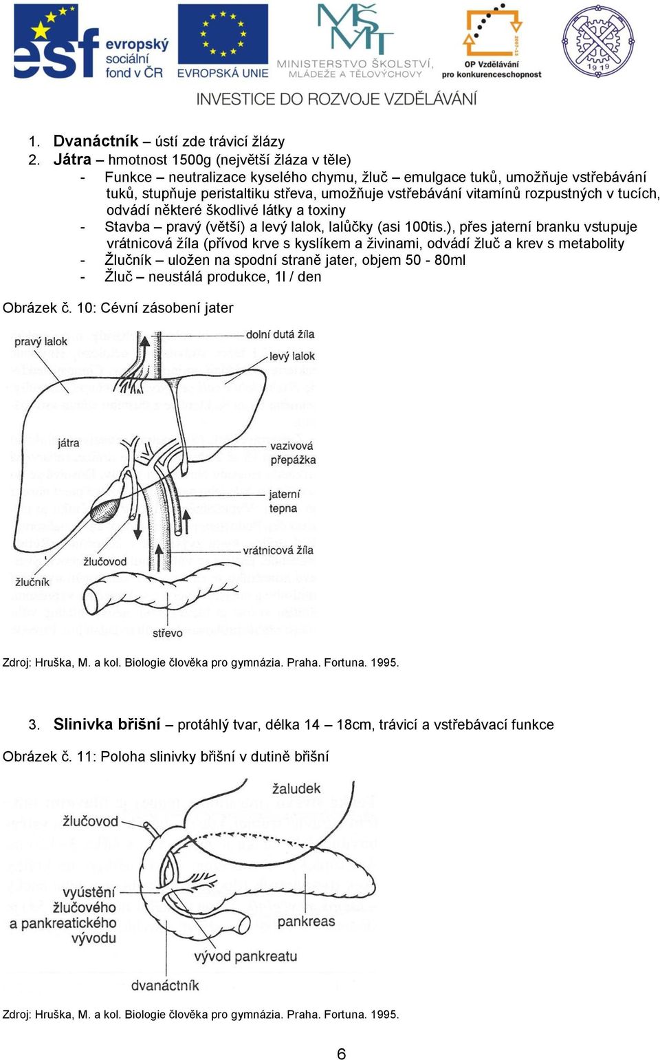 vitamínů rozpustných v tucích, odvádí některé škodlivé látky a toxiny - Stavba pravý (větší) a levý lalok, lalůčky (asi 100tis.