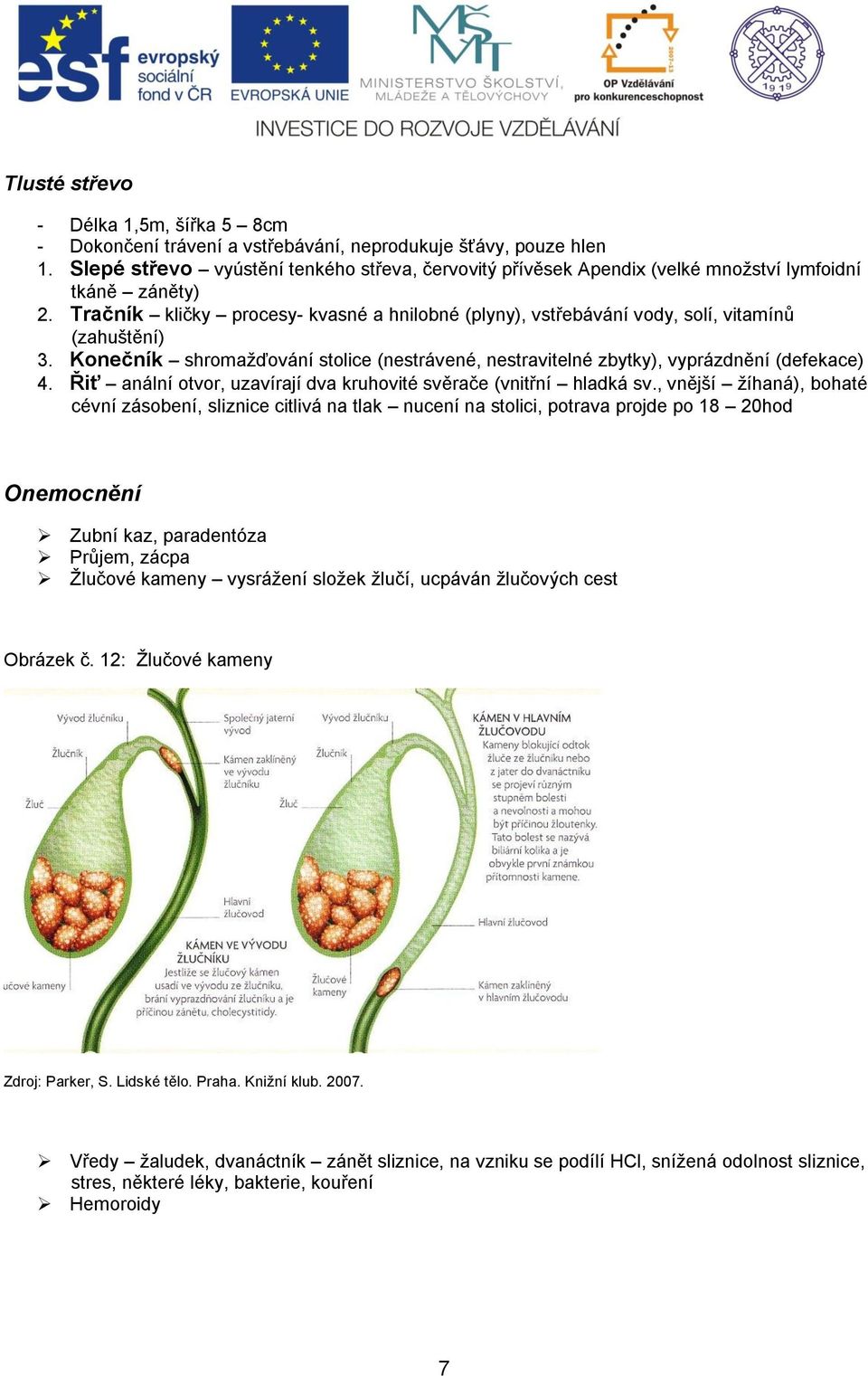 Tračník kličky procesy- kvasné a hnilobné (plyny), vstřebávání vody, solí, vitamínů (zahuštění) 3. Konečník shromaţďování stolice (nestrávené, nestravitelné zbytky), vyprázdnění (defekace) 4.