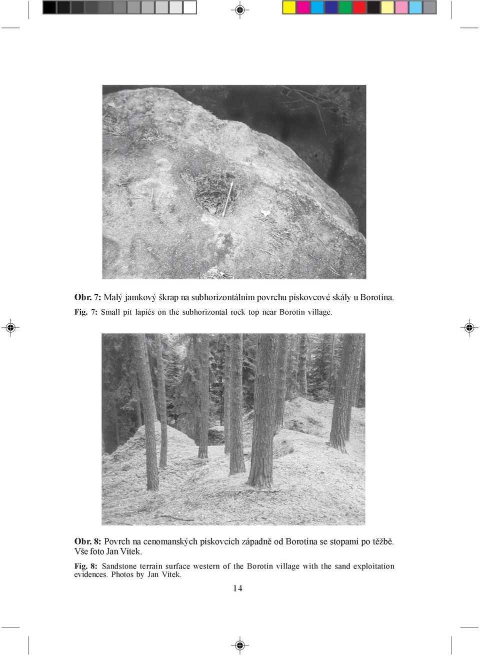 8: Povrch na cenomanských pískovcích západně od Borotína se stopami po těžbě. Vše foto Jan Vítek.