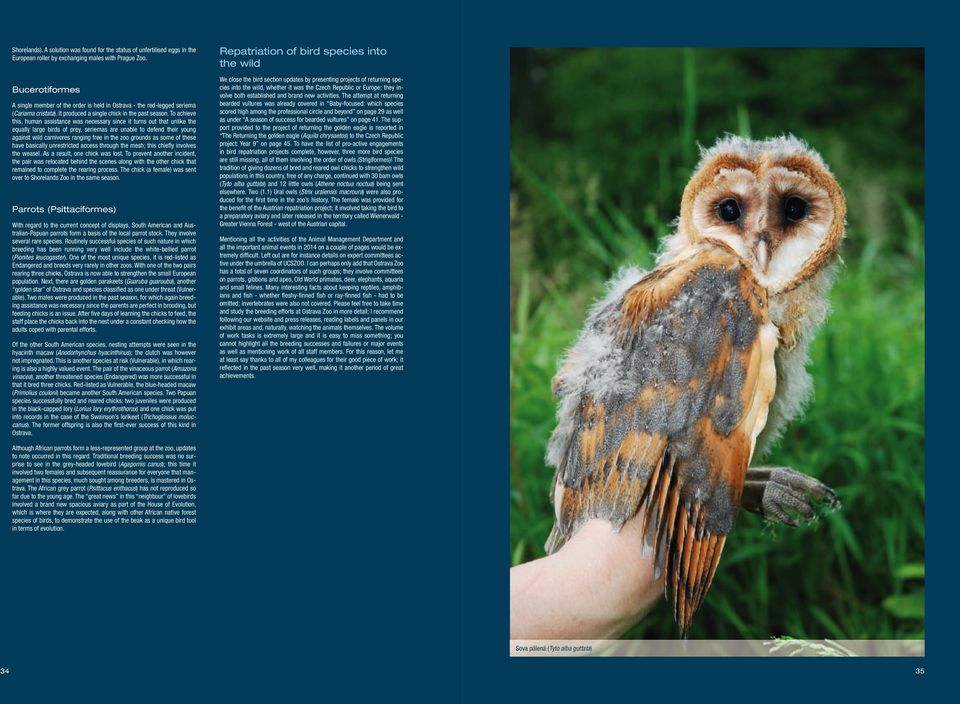 To achieve this, human assistance was necessary since it turns out that unlike the equally large birds of prey, seriemas are unable to defend their young against wild carnivores ranging free in the